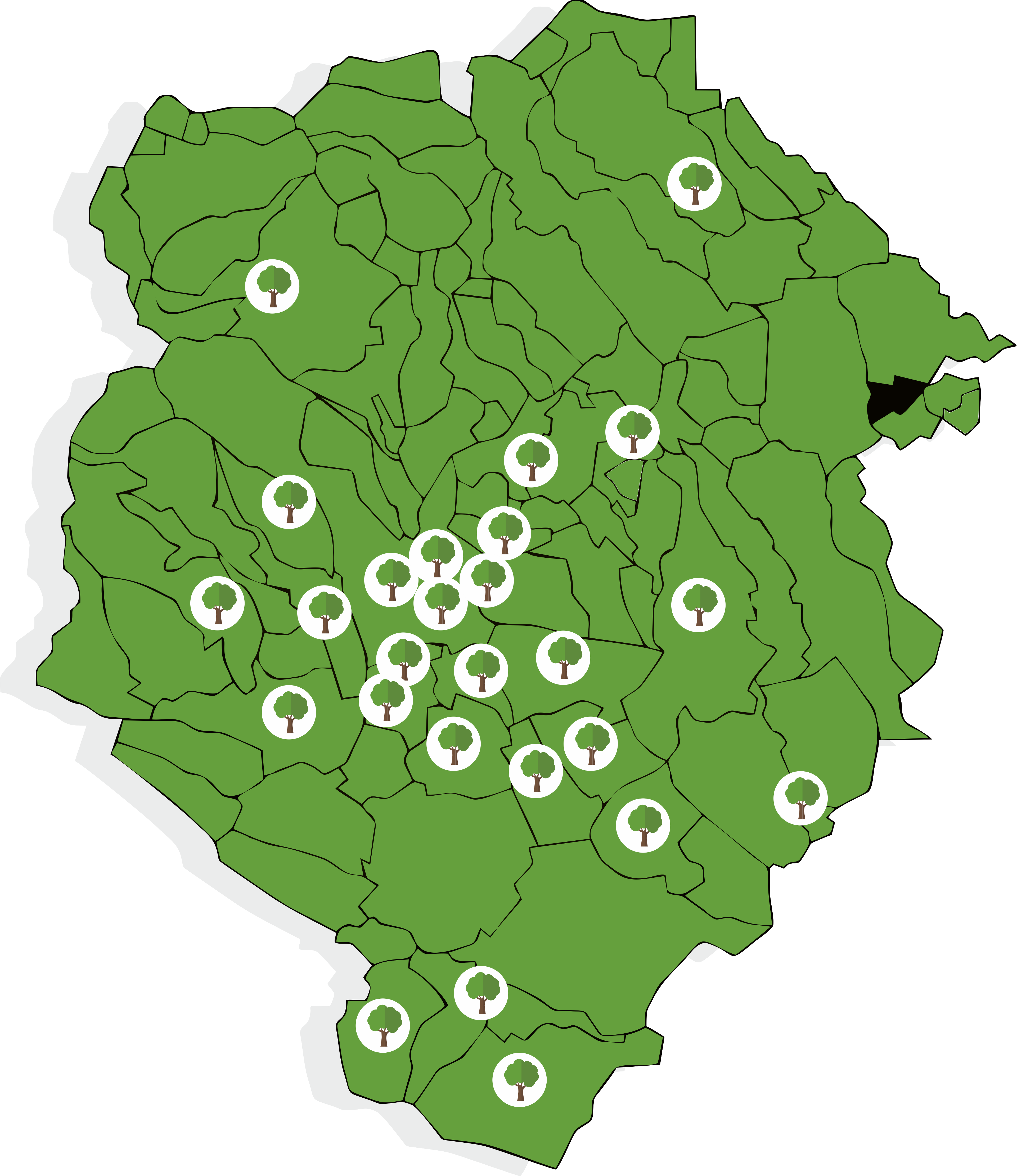 Cartina Bosco diffuso